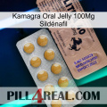 Kamagra Oral Jelly 100Mg Sildénafil 41